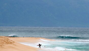 Shark ‘completely severs’ leg of Hawaii surfer off Maui beach, authorities say