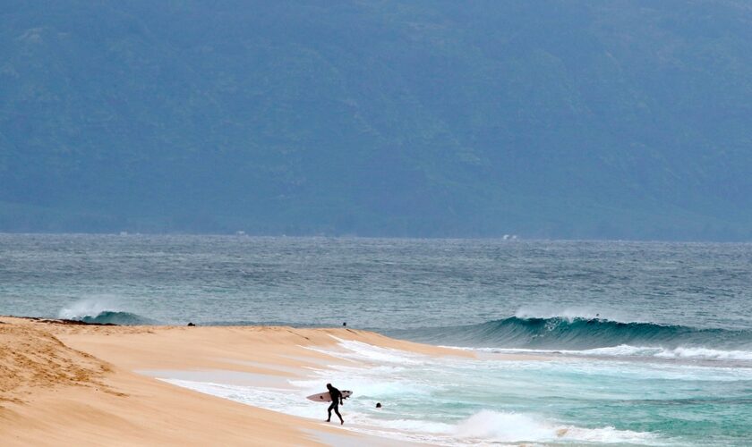 Shark ‘completely severs’ leg of Hawaii surfer off Maui beach, authorities say