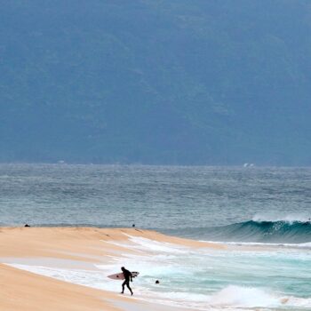 Shark ‘completely severs’ leg of Hawaii surfer off Maui beach, authorities say