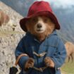 Paddington visits Peru in his latest adventure. Pic: Studiocanal