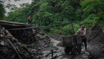 Weltnaturgipfel: Am Ende schlägt die Wirtschaft den globalen Naturschutz