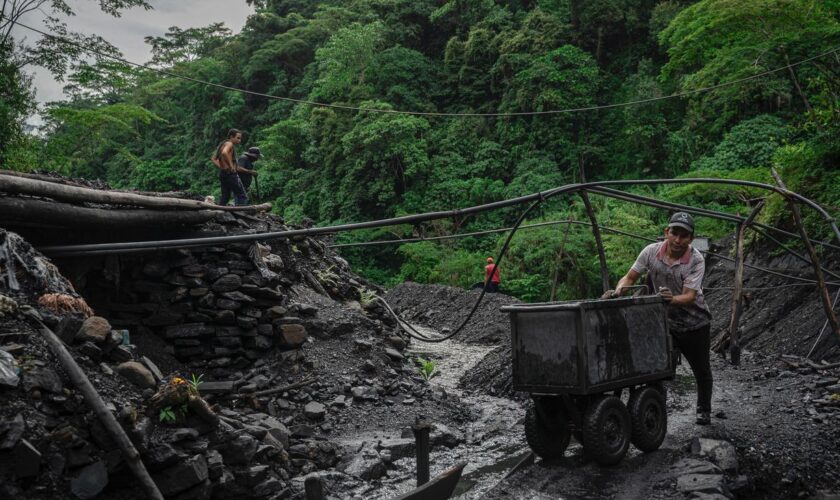 Weltnaturgipfel: Am Ende schlägt die Wirtschaft den globalen Naturschutz