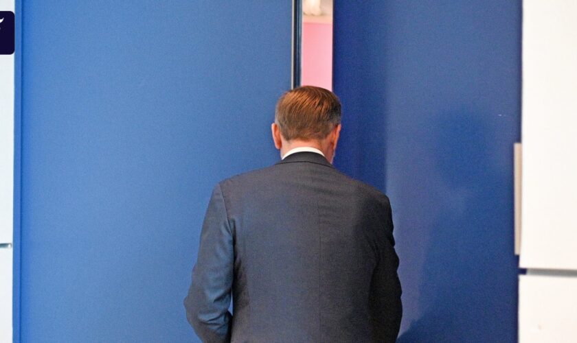 FDP-Papier: Der große Lindner-TÜV