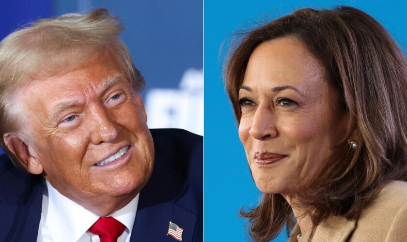 Trump vs Harris : cette Une du « New Yorker » vise juste à 24h de l’élection présidentielle américaine