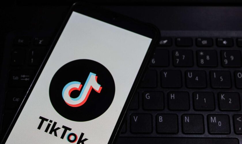 TikTok assigné en justice par sept familles en France pour « promotion du suicide »