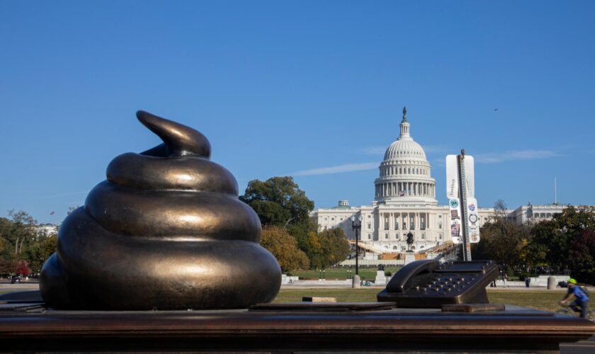 Un jour avant l’élection américaine, des mini-cacas en bronze apparaissent devant le Capitole