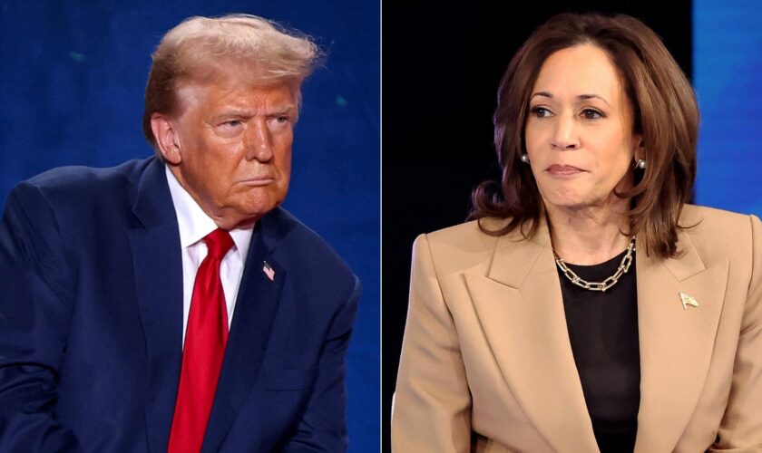 Donald Trump ou Kamala Harris ? Ce que disent les derniers sondages à quelques heures de l’élection américaine