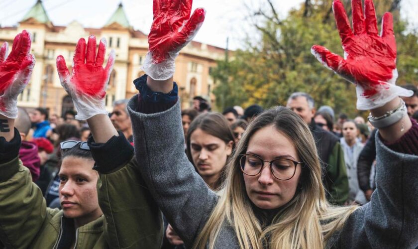 En Serbie, démission du ministre des Transports après la catastrophe de Novi Sad