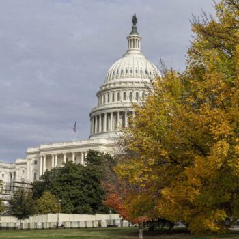 Police arrest man at US Capitol smelling of fuel who had manifesto, flare gun and blow torch