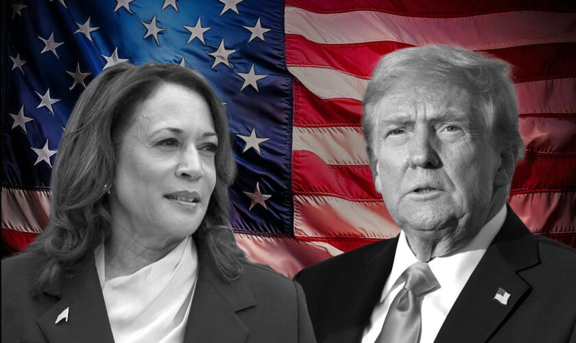 Résultat de l'élection américaine, en direct : 54% pour Trump face à Harris, les "chances de gagner" se précisent