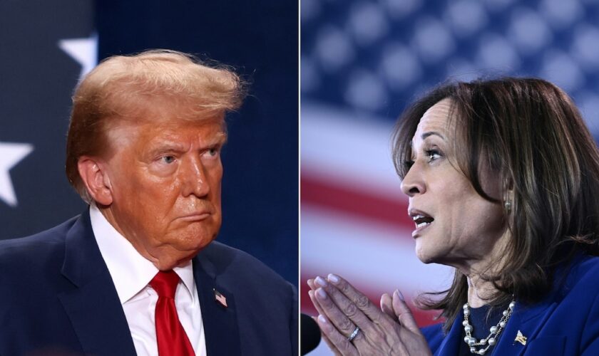 Montage photos de Donald Trump et Kamala Harris, candidats à la présidentielle américaine du 5 novembre