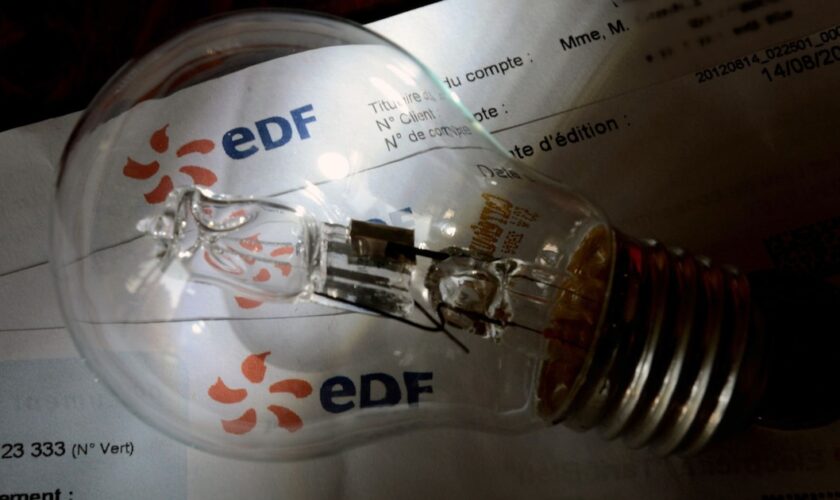 EDF a souffert de vastes dépréciations d'actifs au premier semestre, mais a pu limiter la baisse de ses résultats grâce à l'allongement de la durée de vie comptable de certains réacteurs