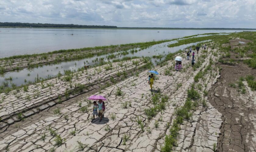 Klimawandel: EU-Institut prognostiziert für 2024 Erderwärmung über 1,5 Grad