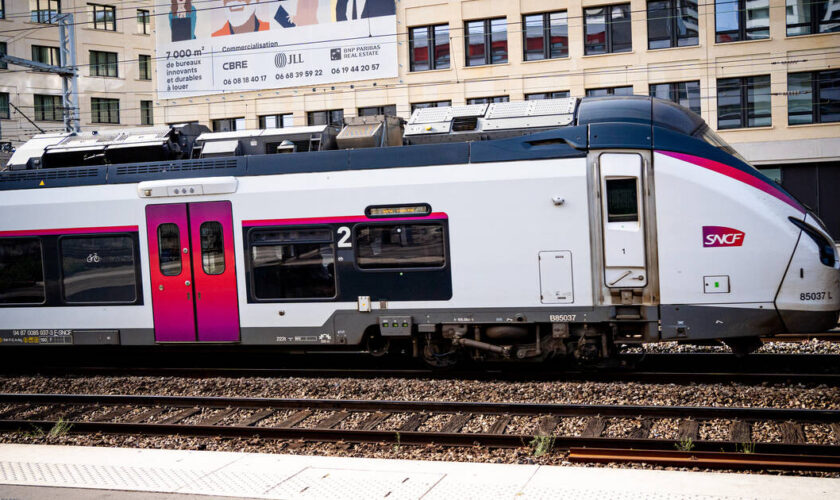 Agression à la hache dans le RER E : quatre mineurs mis en examen et écroués