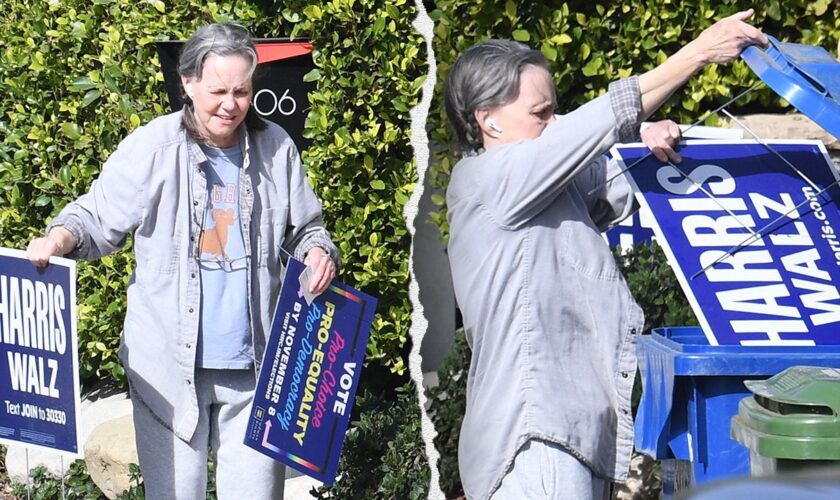 Kamala Harris supporter Sally Field trashes campaign sign after Donald Trump victory