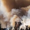 Brände in den USA: Waldbrand in Kalifornien breitet sich aus