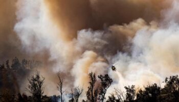 Brände in den USA: Waldbrand in Kalifornien breitet sich aus