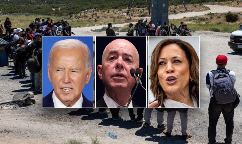 Federal judge throws out Biden admin program to legalize illegal immigrant spouses of US citizens