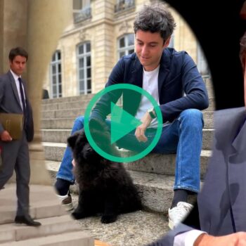 Gabriel Attal n’a pas oublié cette pique attribuée à Rachida Dati sur son chien