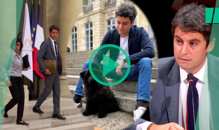 Gabriel Attal n’a pas oublié cette pique attribuée à Rachida Dati sur son chien