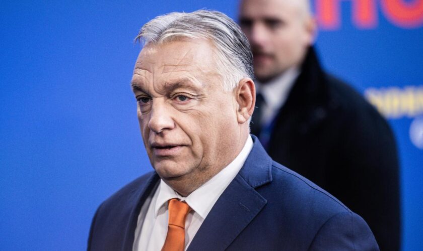 Viktor Orbán: Wette gewonnen