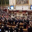 Budget 2025 : l’Assemblée nationale adopte une nouvelle salve de taxes contre l’avis du gouvernement