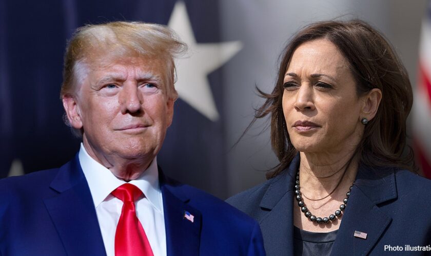 Trump teases he'd bail out Harris campaign debts for sake of ‘unity’ in latest troll