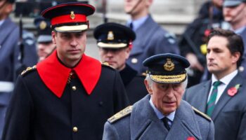 Charles III et William accusés « d’arnarquer le public » après une enquête sur leur patrimoine