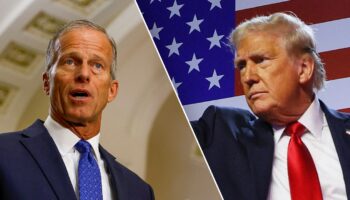 Senate leader contender John Thune responds to new Trump litmus test ahead of election