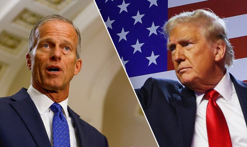 Senate leader contender John Thune responds to new Trump litmus test ahead of election