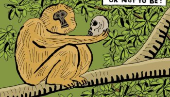 Pourquoi les singes n’écriront pas l’œuvre de Shakespeare