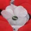 Why do some people wear white, purple or black poppies on Remembrance Day?