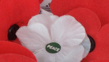 Why do some people wear white, purple or black poppies on Remembrance Day?