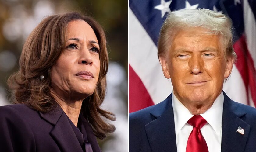 Media liberals savage Kamala as Trump picks experienced hard-liners