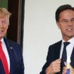 Le président américain Donald Trump salue le Premier ministre néerlandais Mark Rutte alors qu'il arrive pour une réunion dans l'aile ouest de la Maison Blanche à Washington, DC, le 18 juillet 2019. (Photo MANDEL NGAN / AFP)