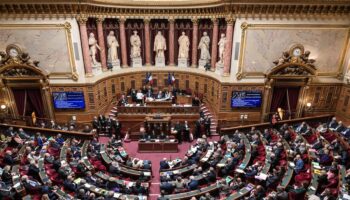 Le Sénat propose une réduction du budget de l’Aide médicale d’Etat