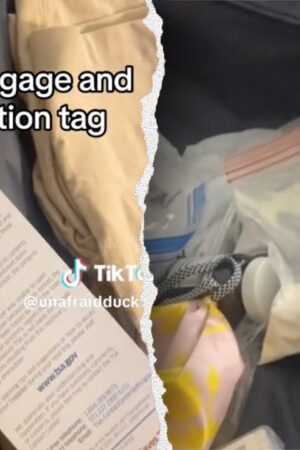 Airline passenger gets flagged by TSA after leaving mystery powder in bag