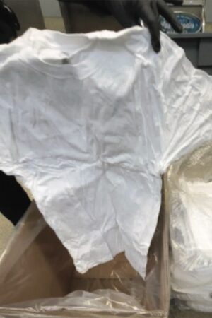 British woman busted at Los Angeles airport with meth-soaked T-shirts: police