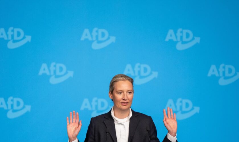 "Gesichert rechtsextrem"?: Verfassungsschutz will AfD erst nach der Neuwahl bewerten