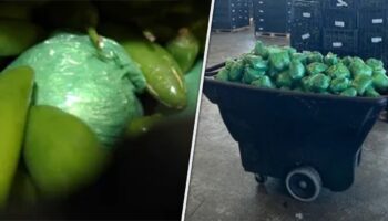 More than $31M in meth concealed in shipment of peppers seized at Texas-Mexico border