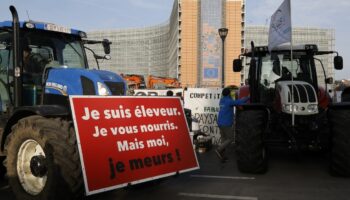 Manifestation d'agriculteurs contre l'accord de libre-échange entre entre l'UE et les pays du Mercosur, le 13 novembre 2024 à Bruxelles