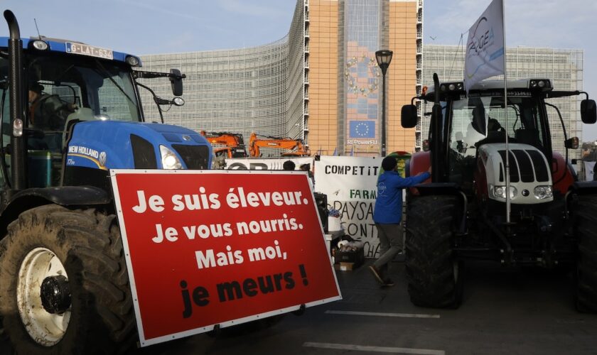 Manifestation d'agriculteurs contre l'accord de libre-échange entre entre l'UE et les pays du Mercosur, le 13 novembre 2024 à Bruxelles