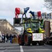 Agriculteurs en colère : appel à la mobilisation nationale à partir de lundi 18 novembre