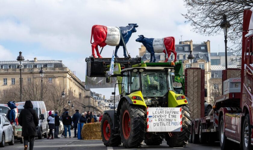 Agriculteurs en colère : appel à la mobilisation nationale à partir de lundi 18 novembre