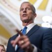 Kongresswahlen : Republikaner John Thune wird neuer Mehrheitsführer im US-Senat