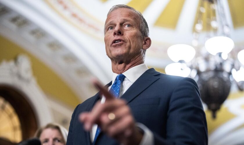 Kongresswahlen : Republikaner John Thune wird neuer Mehrheitsführer im US-Senat