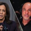 Joe Rogan says Kamala Harris campaign had a condition to avoid 'marijuana legalization' talk for interview