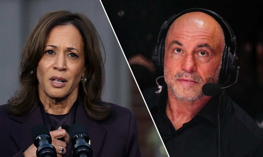 Joe Rogan says Kamala Harris campaign had a condition to avoid 'marijuana legalization' talk for interview