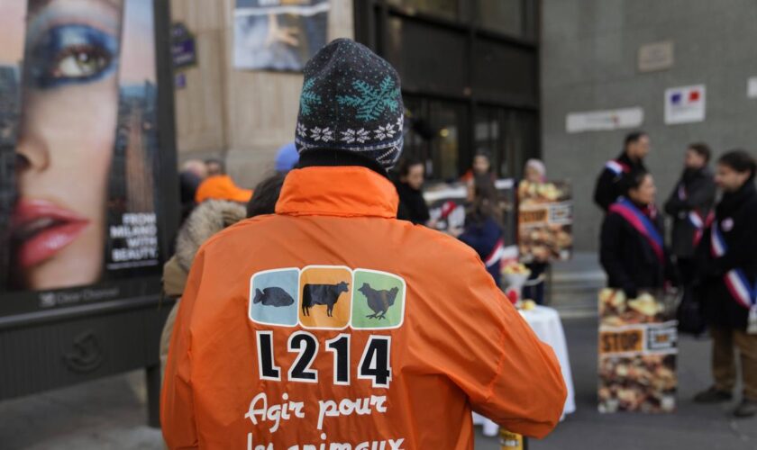 Un abattoir de Savoie suspendu après une plainte de L214 pour « actes de cruauté »