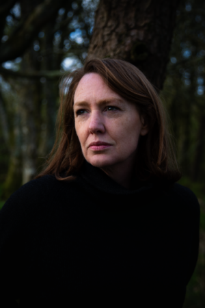 « L’Heure bleue », par Paula Hawkins : une île comme un piège